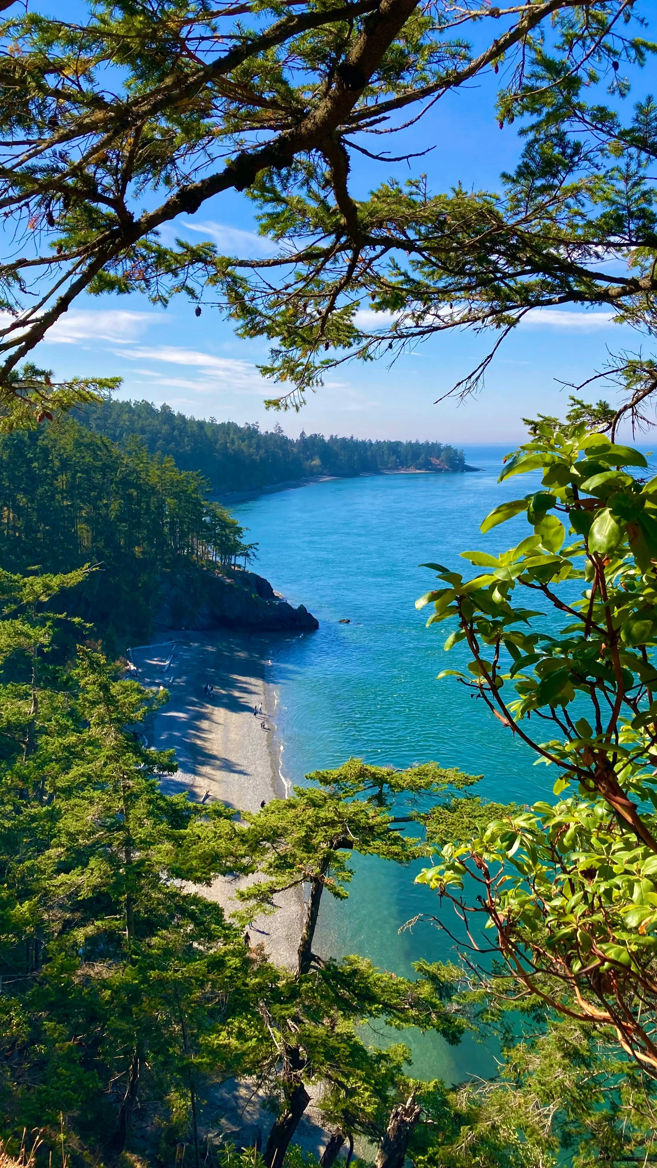 Filled with green trees and foliage, overlooking a blue ocean shoreline with a pebble beach and distant forested hills.