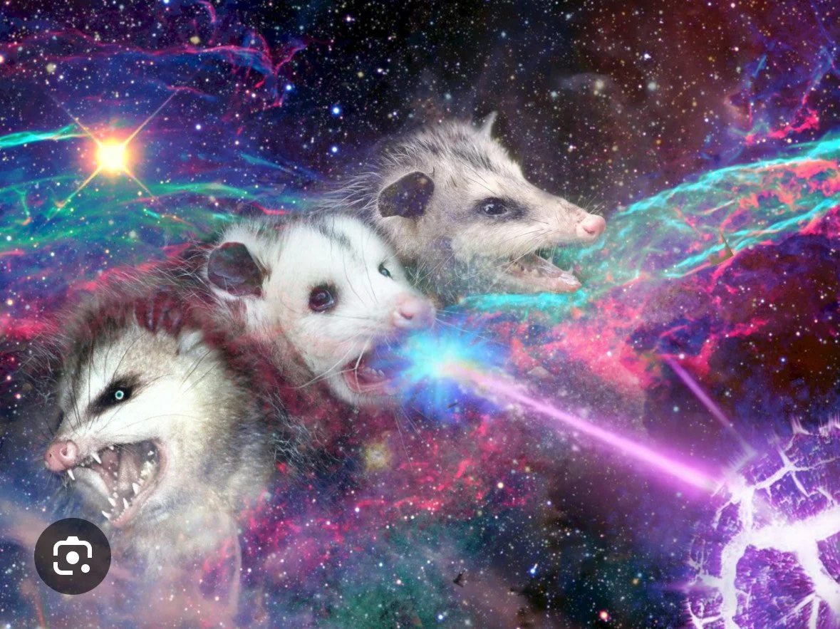 The Possum Manifesto