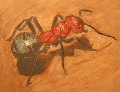 Drawing of an ant on a wooden surface.