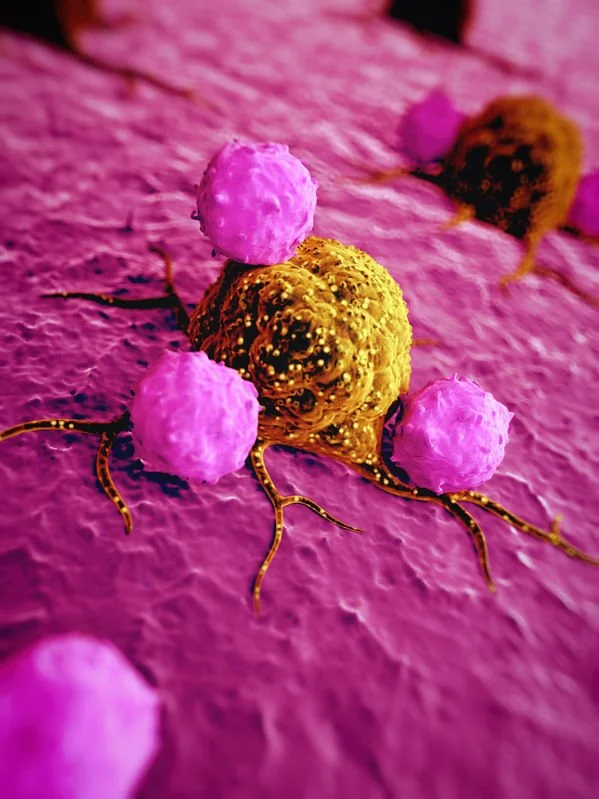 Chemotherapy Increases Risk of Metastasis