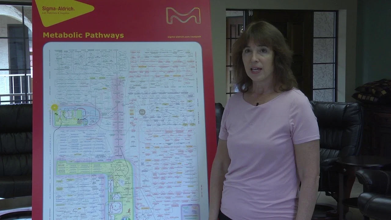 What Ultimately Prevents Cancer 2