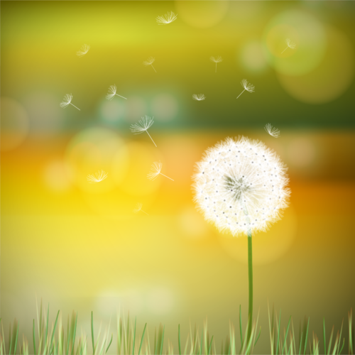 What Are Your Odds When You Have Cancer?