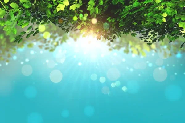 What Can I Expect When I Visit a Naturopathic Oncologist?