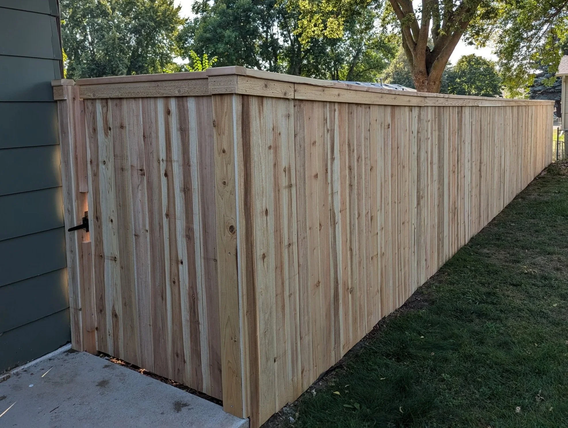 Wooden privacy fence along a grassy yard with trees in the background.