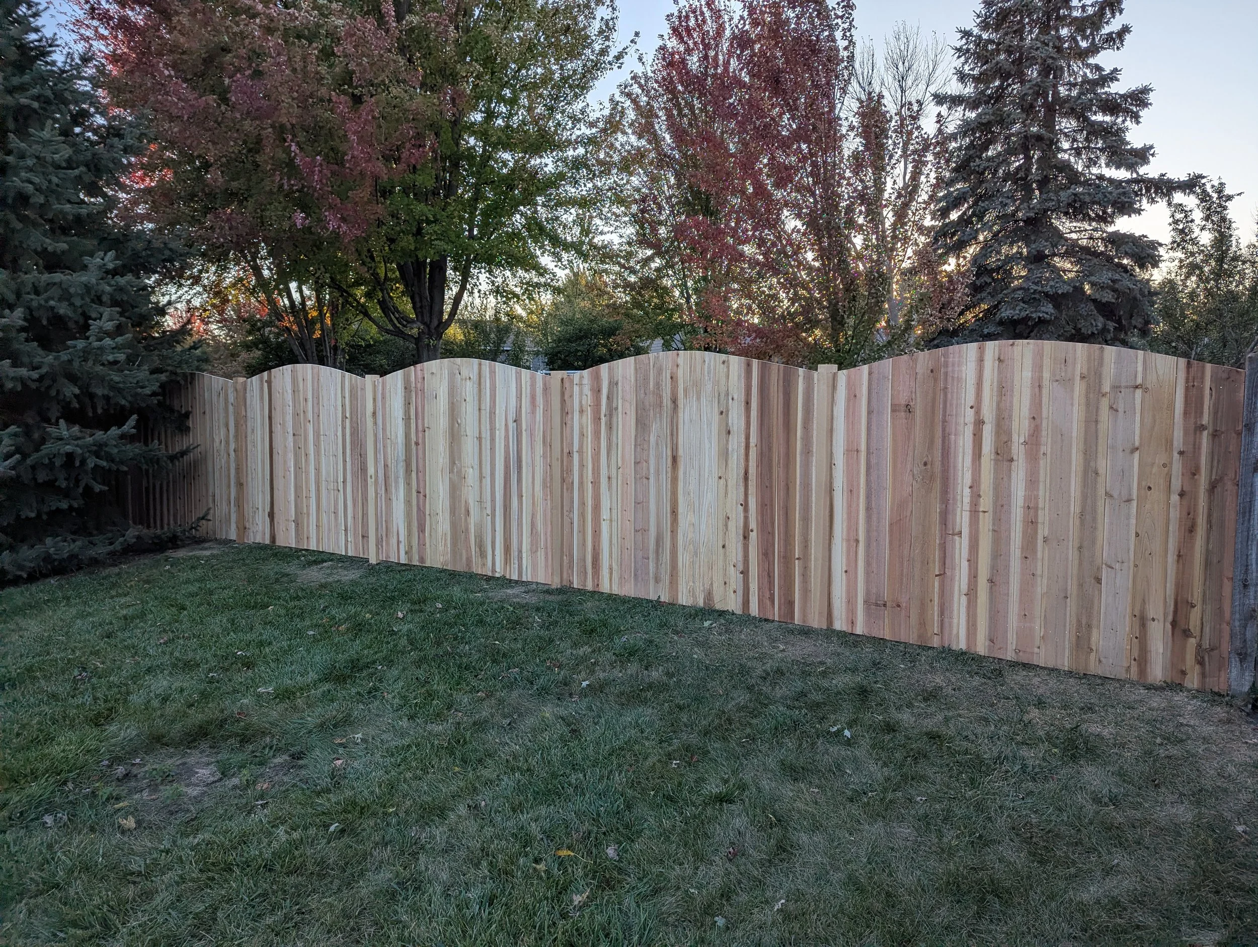 A wooden privacy fence in a backyard, with trees in the background and a grassy lawn in the foreground.