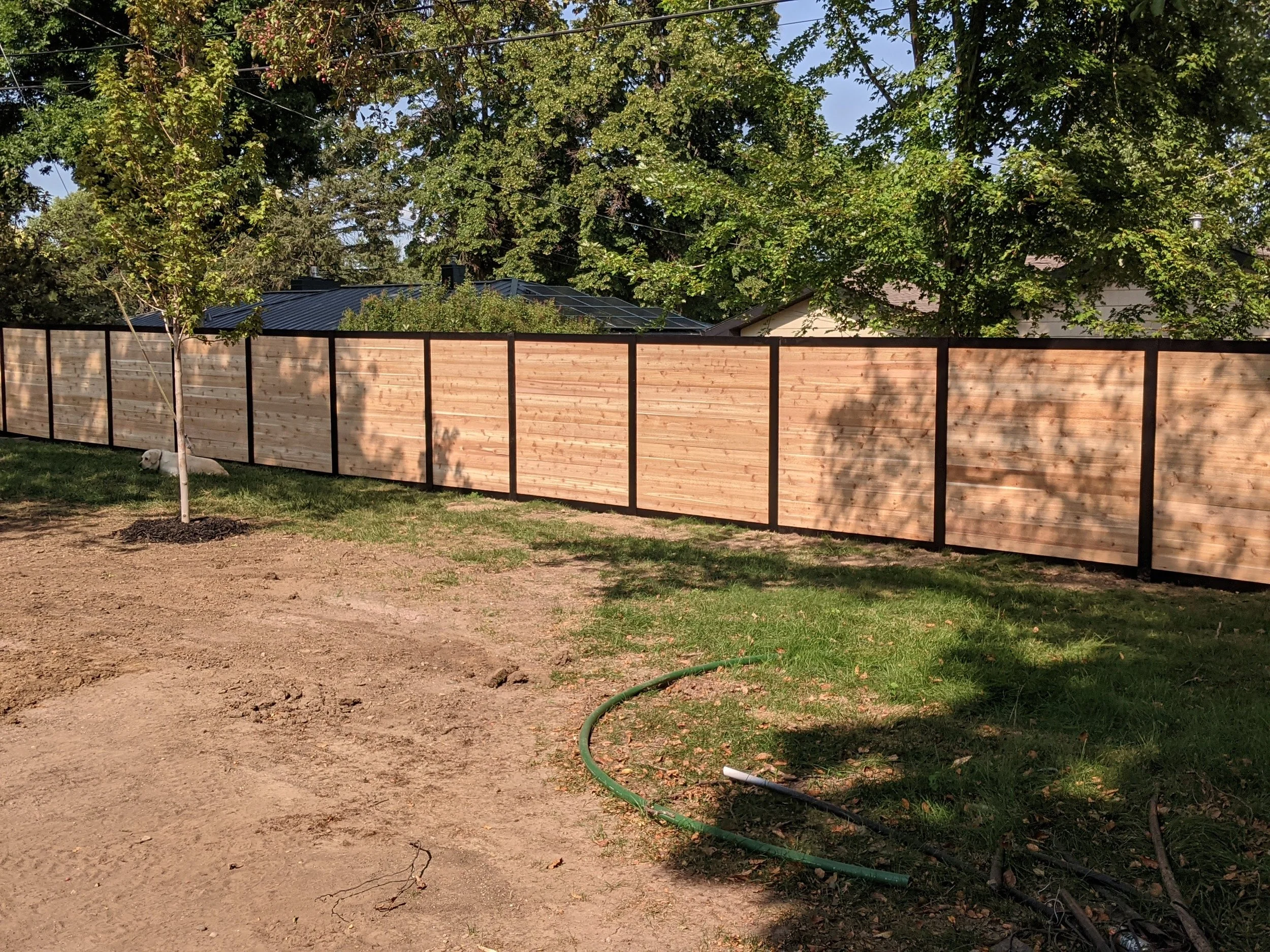 Backyard with a newly installed horizontal wooden fence, a small tree on the left, shadow of a larger tree on the right, grassy area, and some garden hoses on the ground.