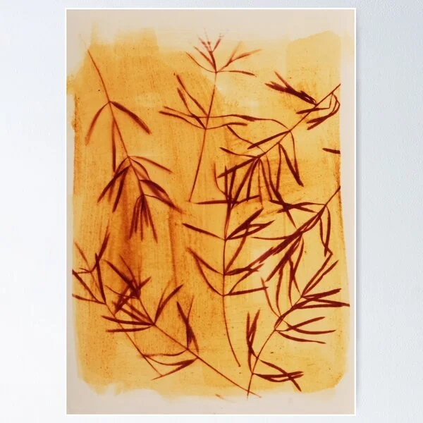 turmeric sun print.jpg
