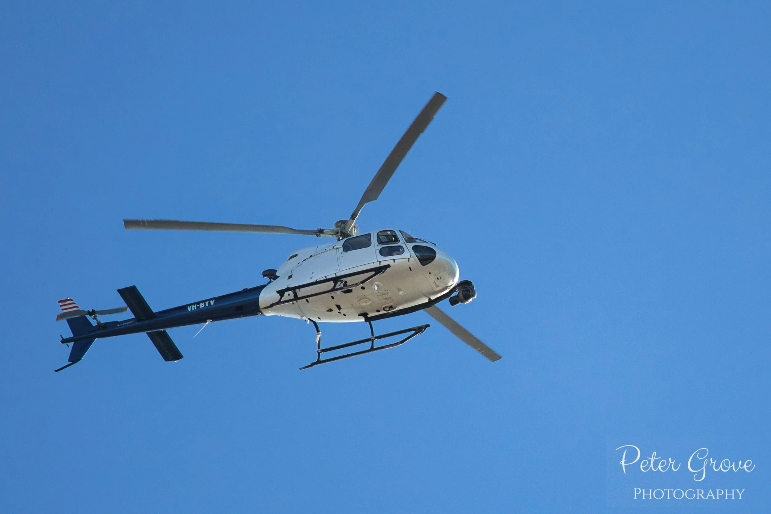IMG_5460-WM.jpg