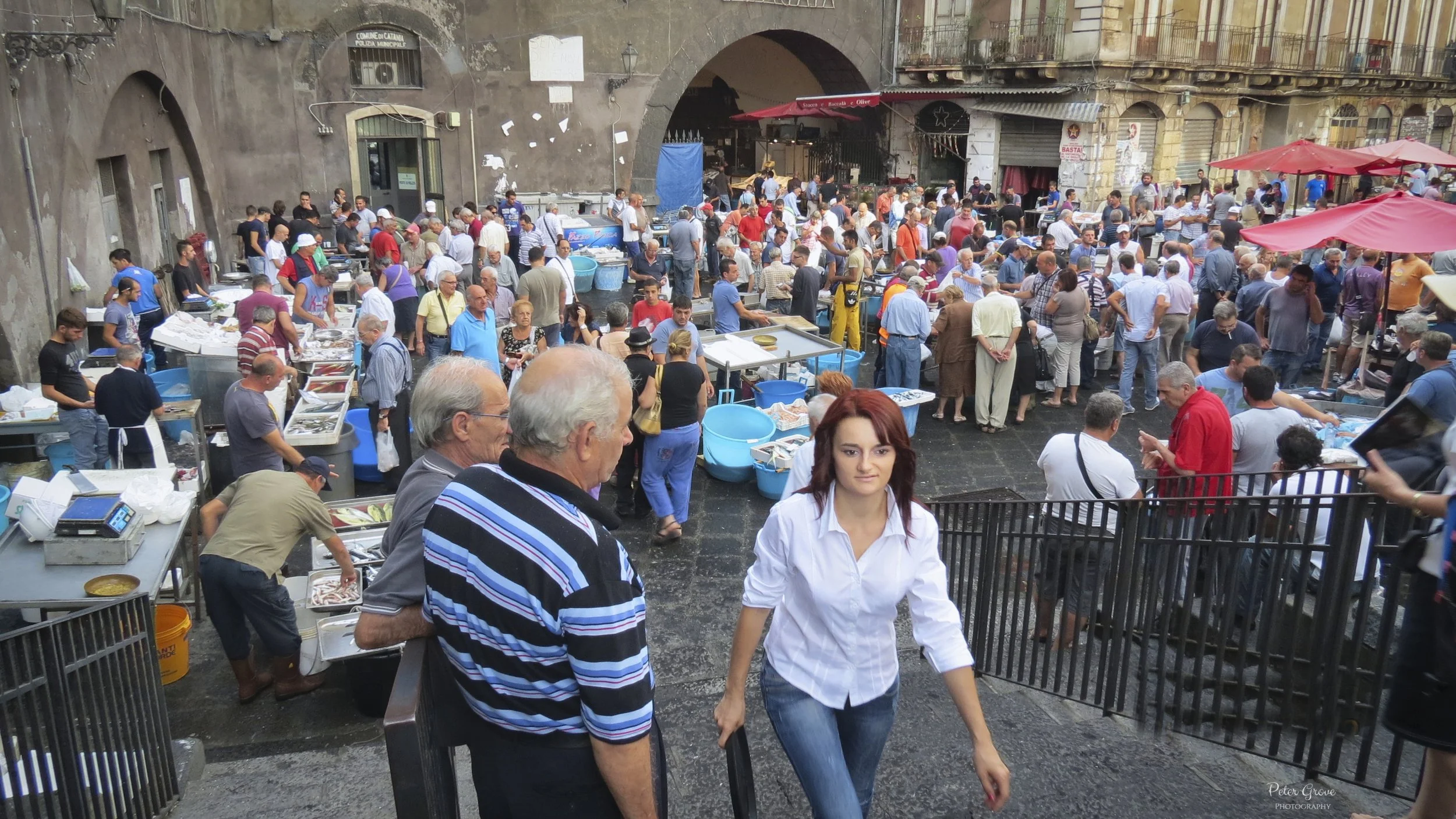 IMG_1122_WM.jpg