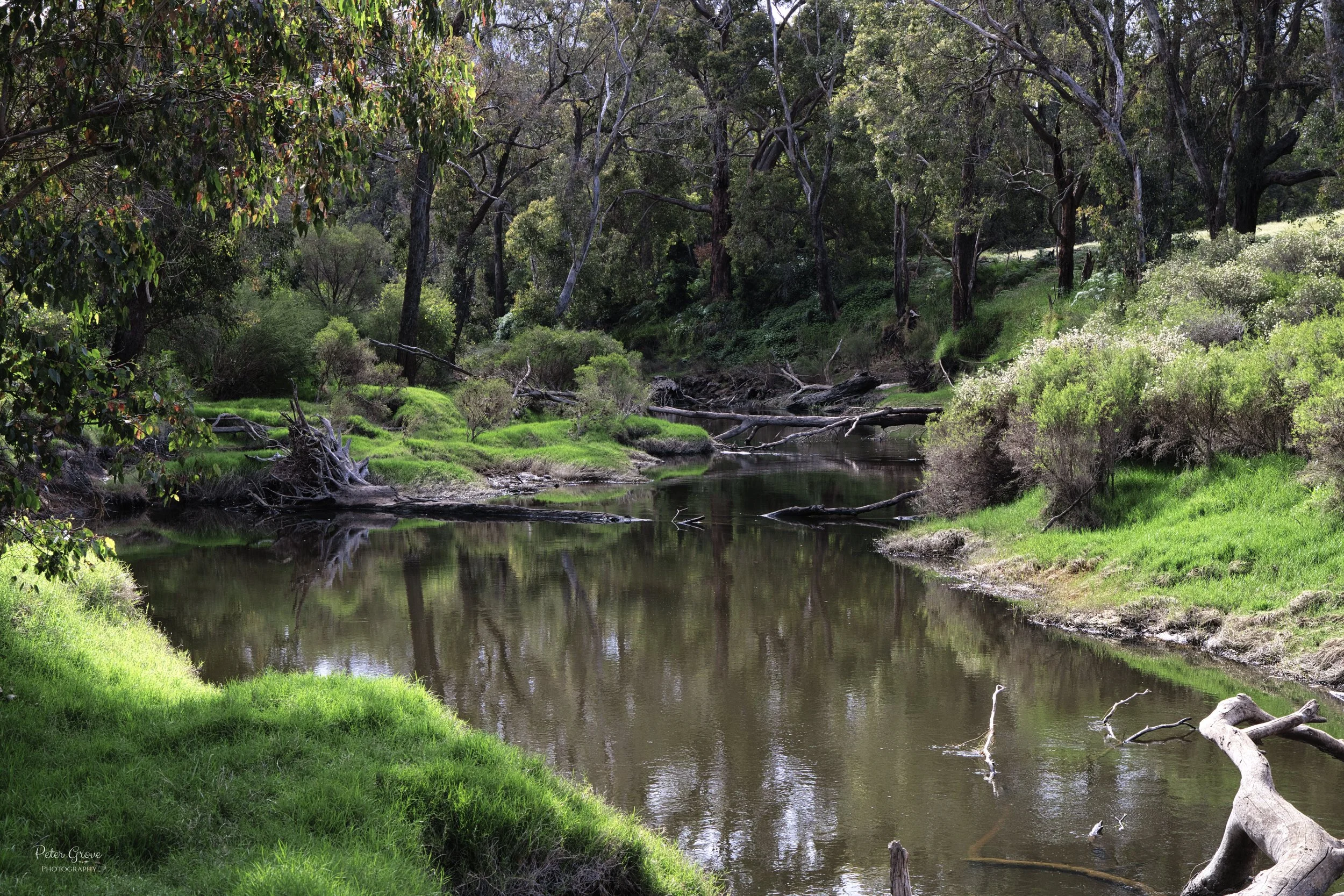 Avon River - 1 - Nannup