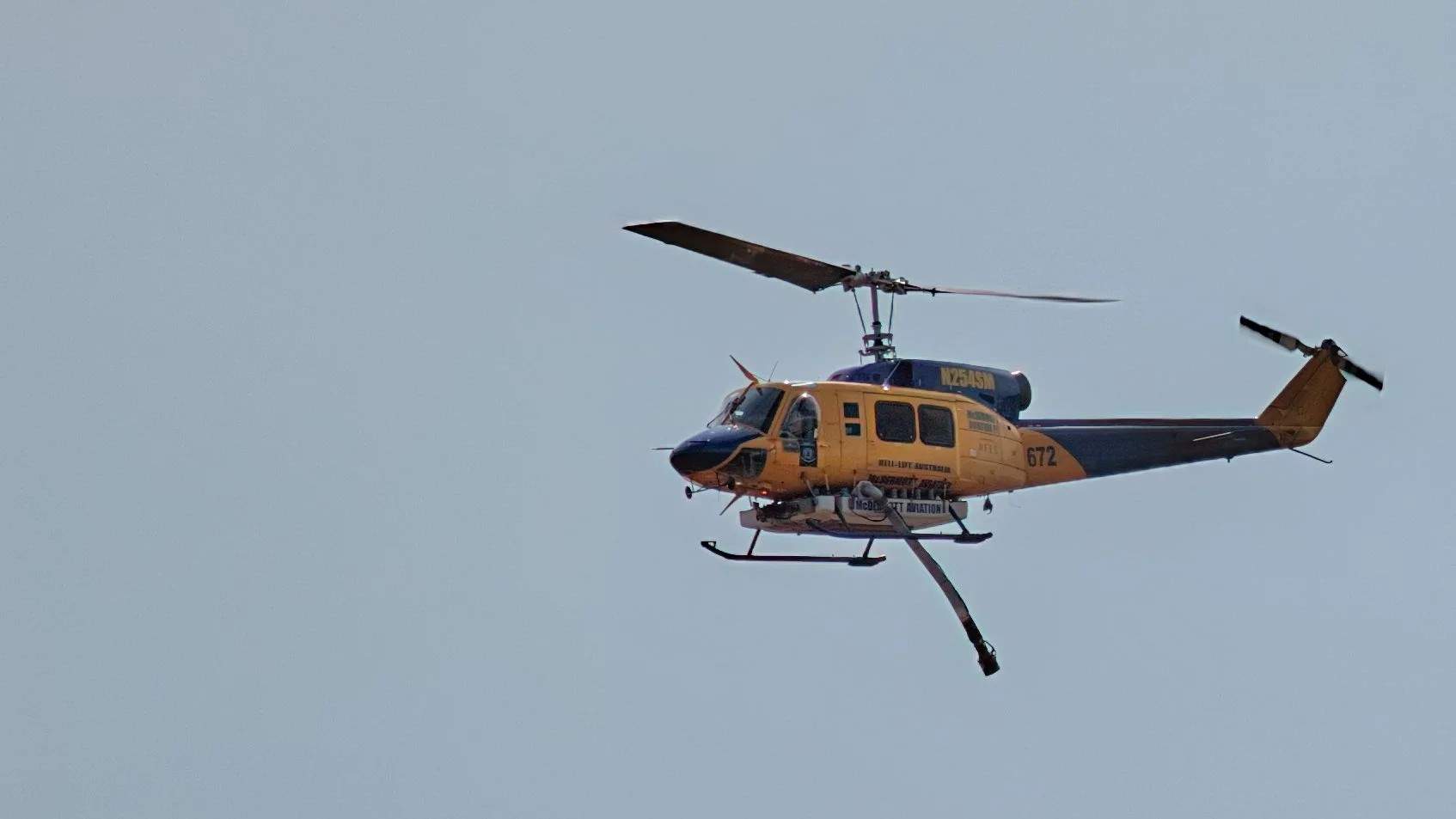 IMG_2129.jpg
