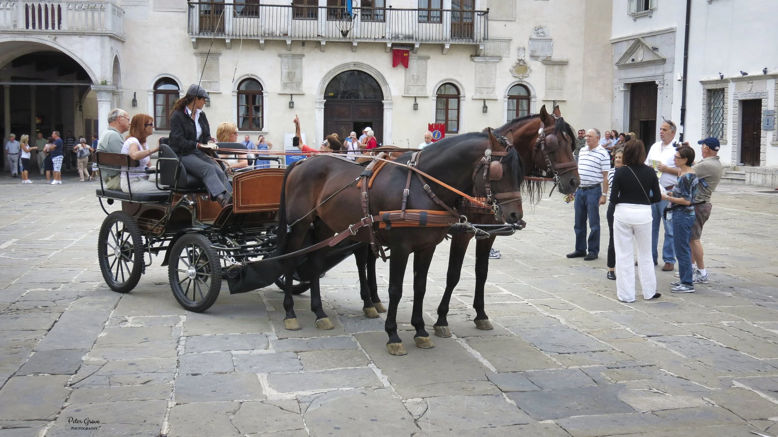 IMG_0546_WM.jpg