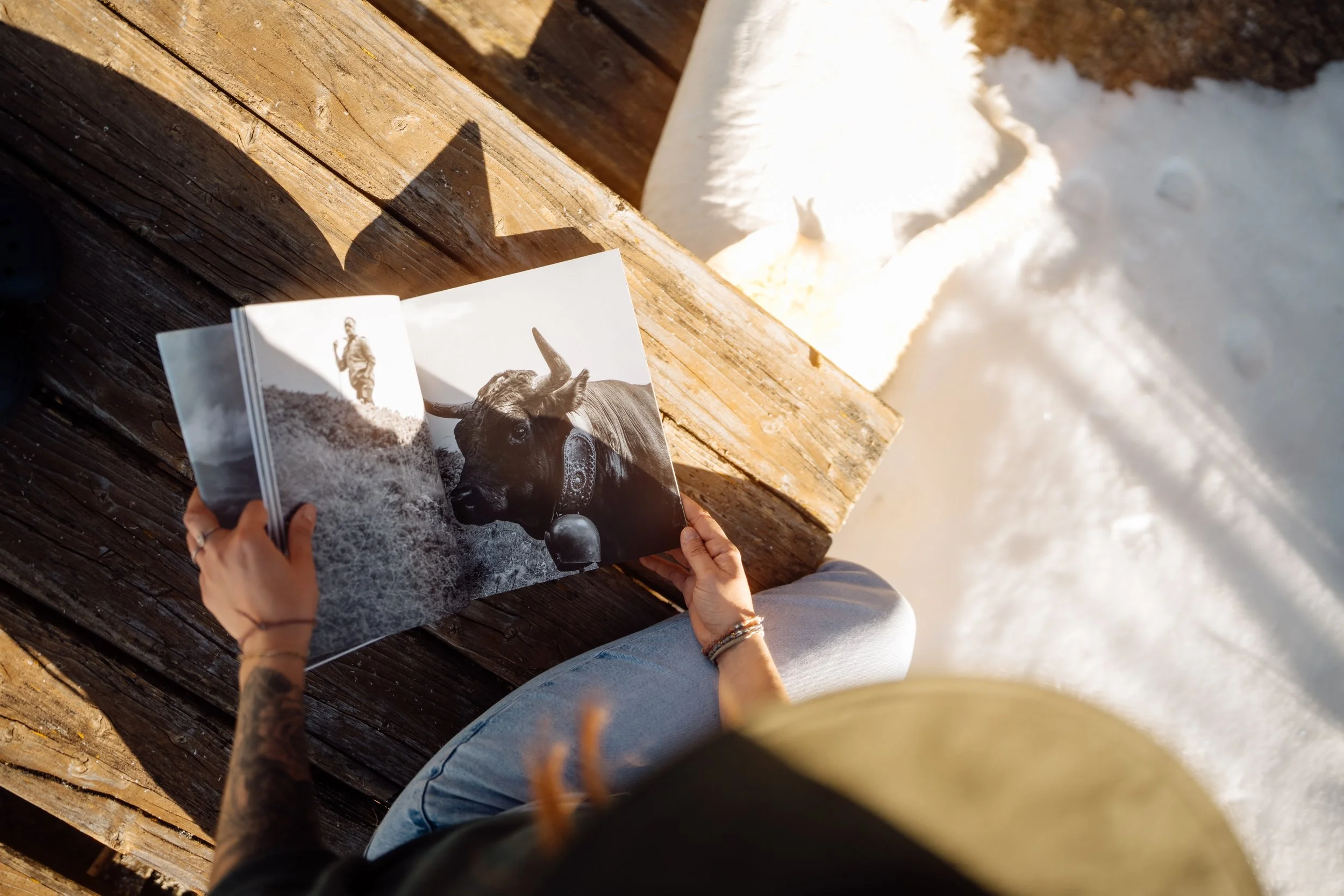 Personne regardant un livre avec une photo d'un cheval et d'une personne dans un environnement enneigé