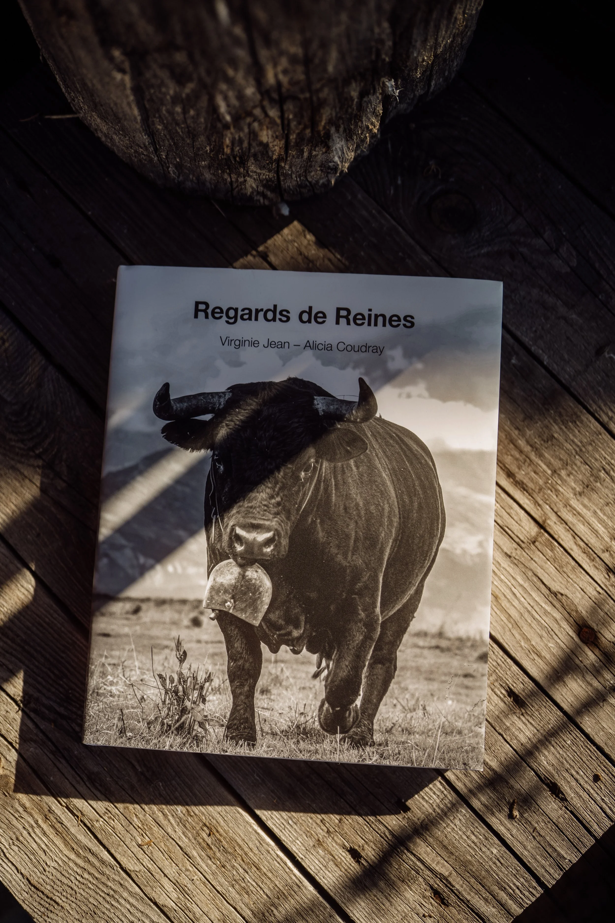 Regards de Reines - Mise en page