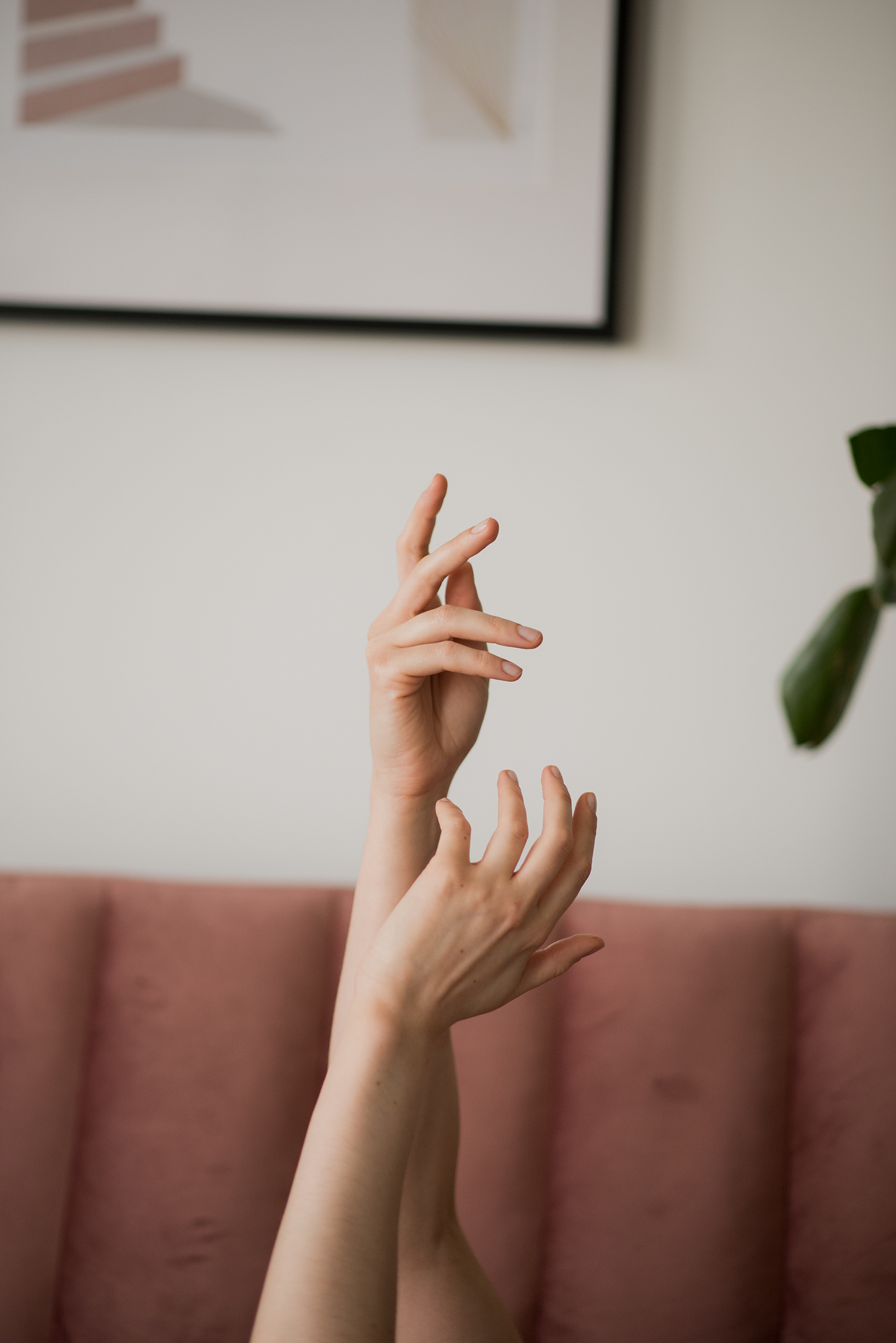 Calma – Logo Design