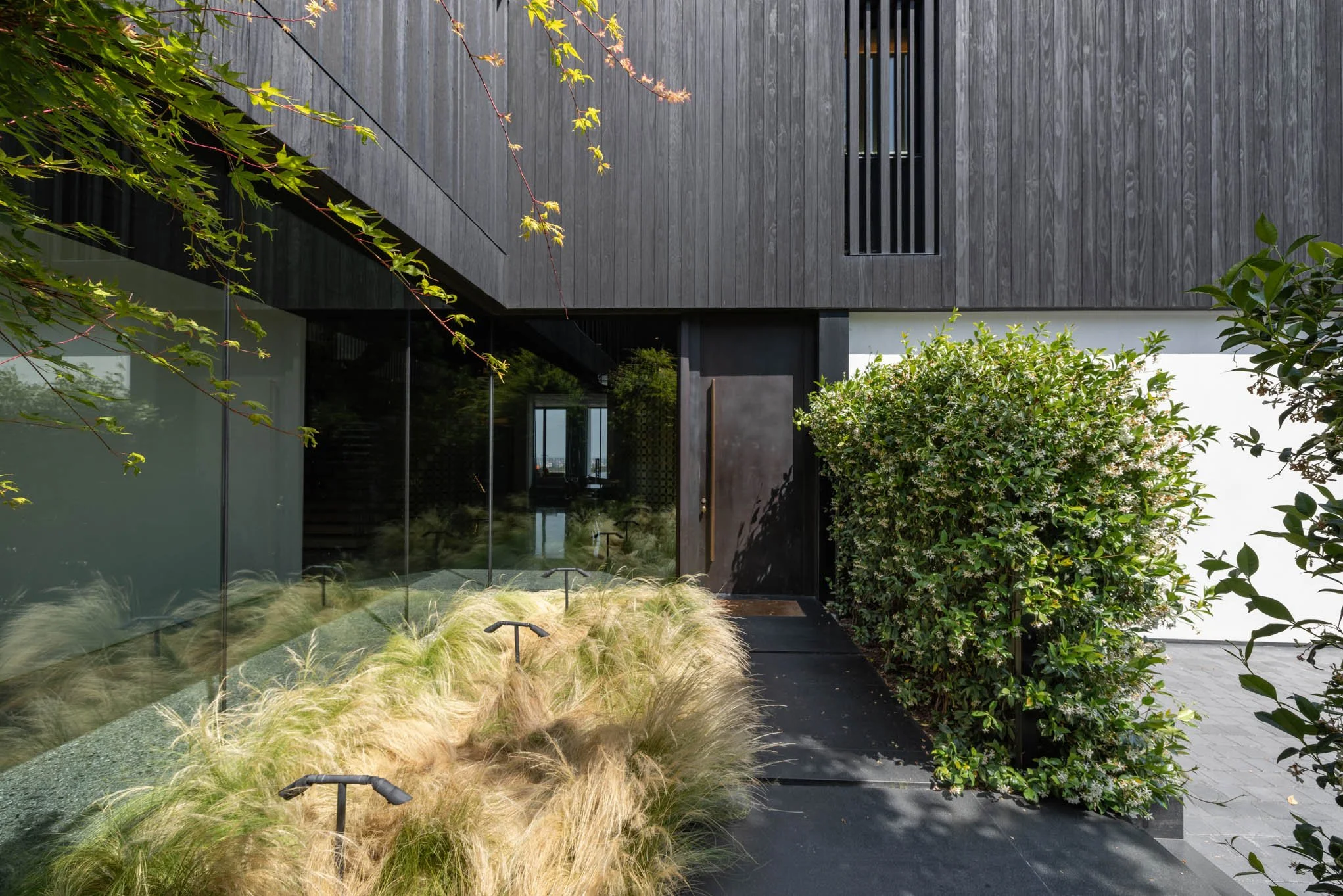 Modern house entrance with black door, large glass window, and surrounding green shrubs and ornamental grasses.