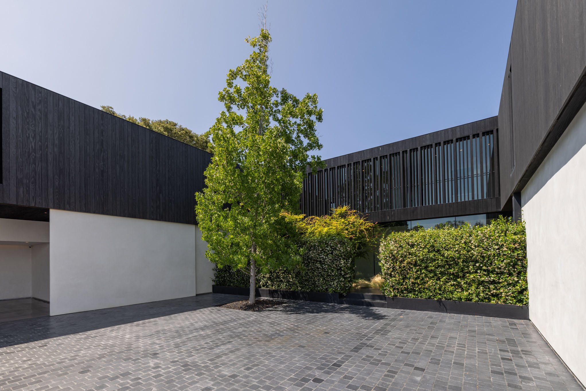 Modern building courtyard with black and white walls, a tree, and lush bushes under a clear blue sky.
