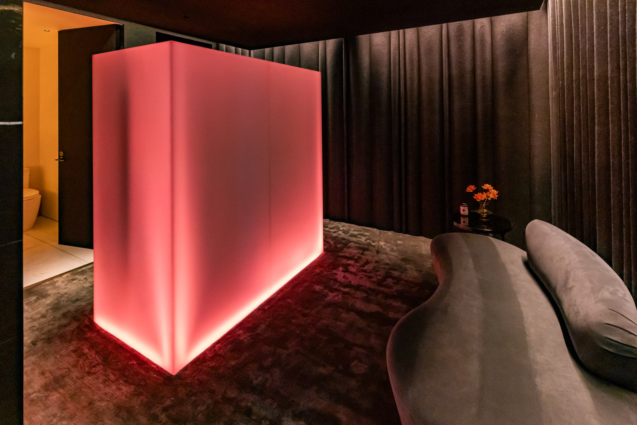 Room with dark curtains, a pink illuminated room divider, a small table with flowers, a gray sofa, and a visible bathroom with a toilet in the background.