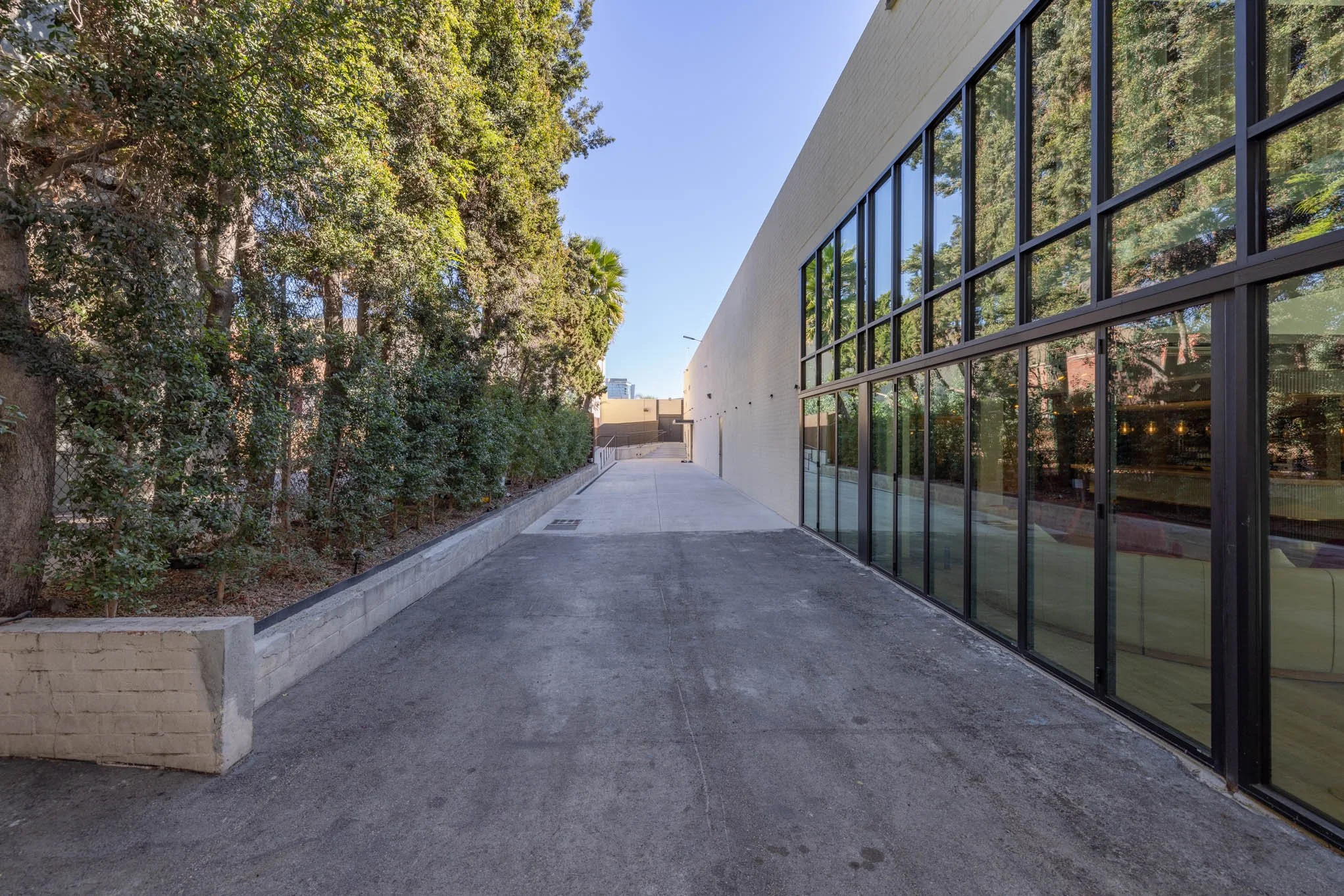 Empty pathway alongside a modern building with large glass windows on the right and a row of trees on the left. Clear blue sky overhead.