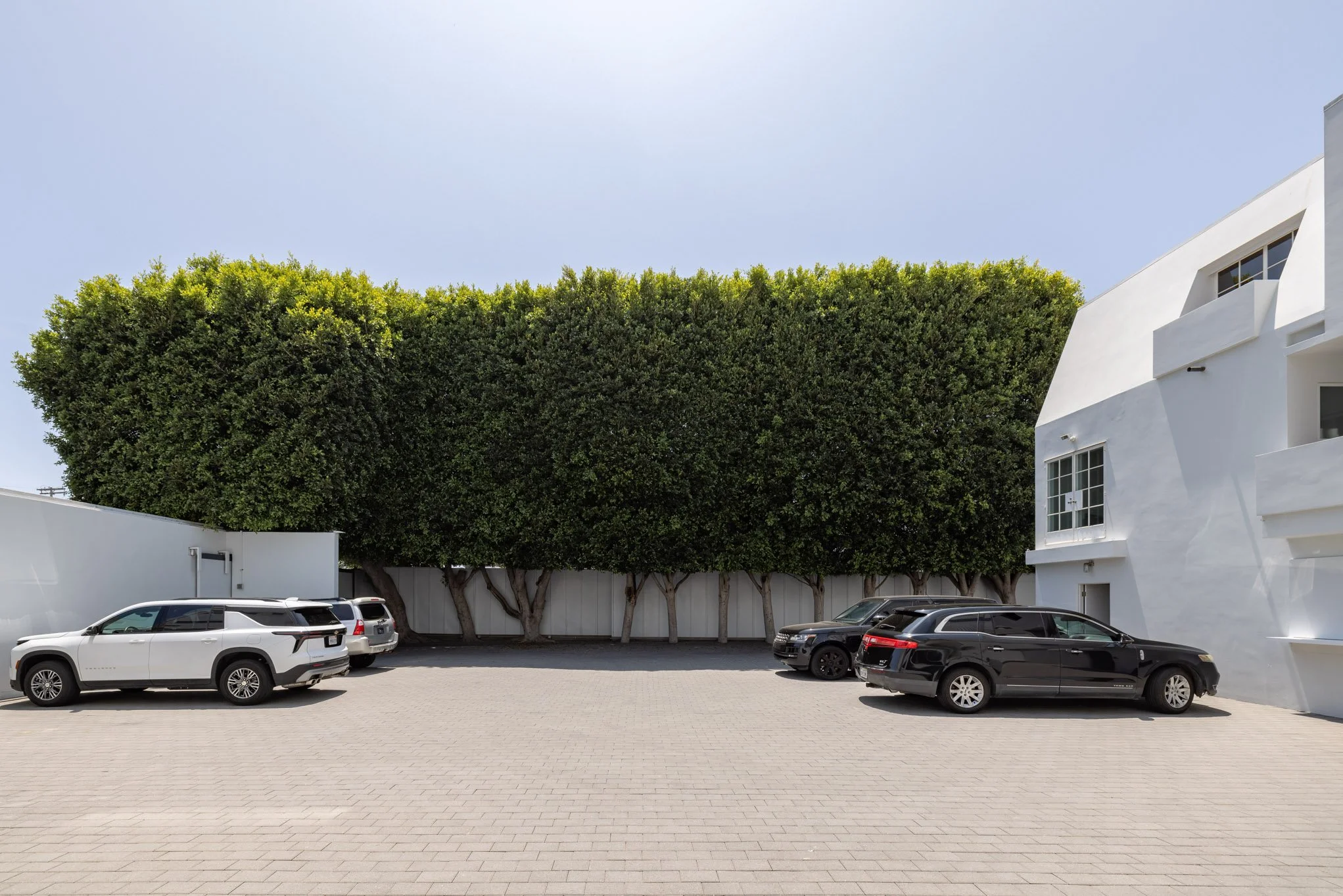 Parking lot with five parked cars in front of a white building and tall green trees.