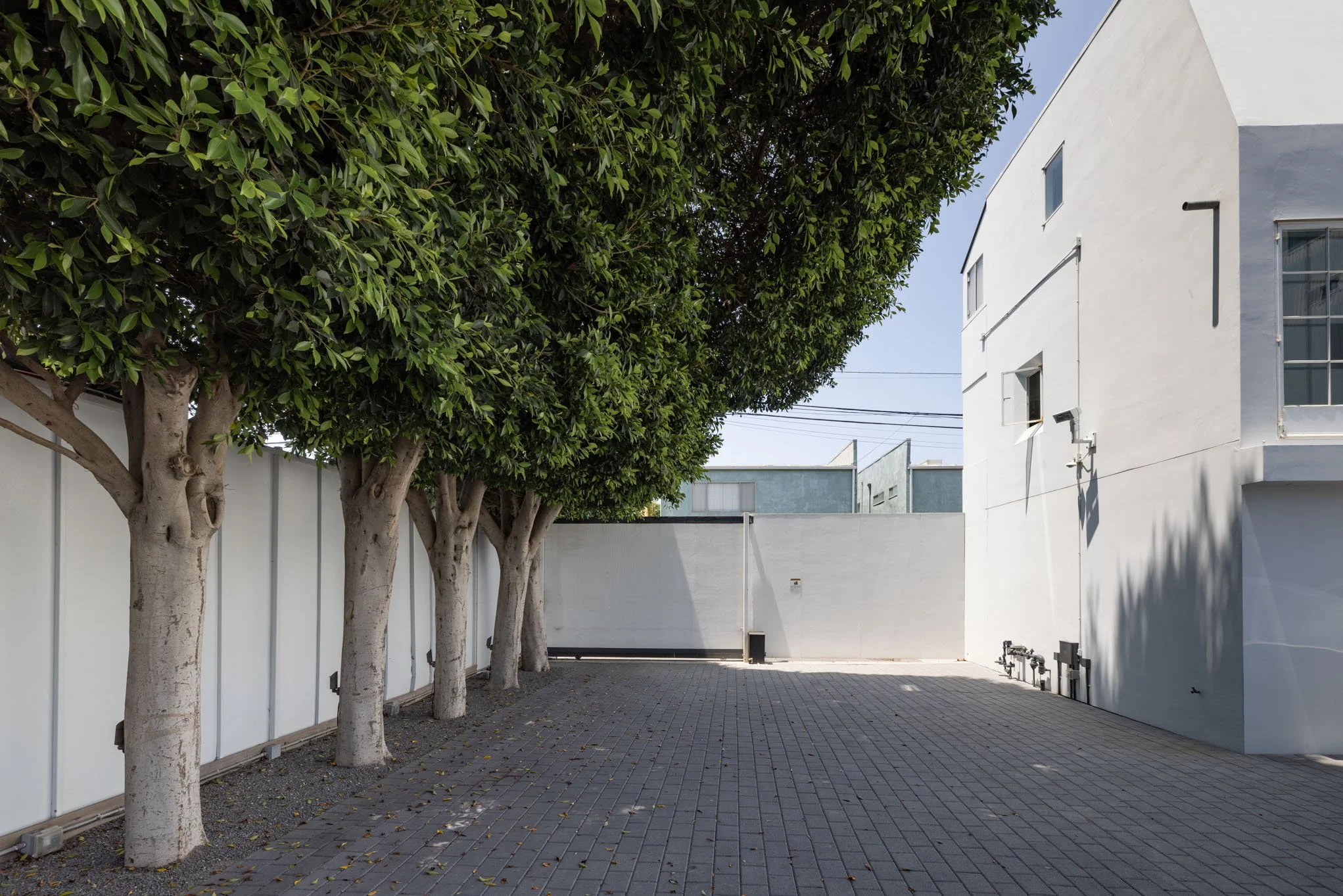 Empty driveway with white wall and a building on the right, five trees with green leaves on the left, and a clear blue sky overhead.