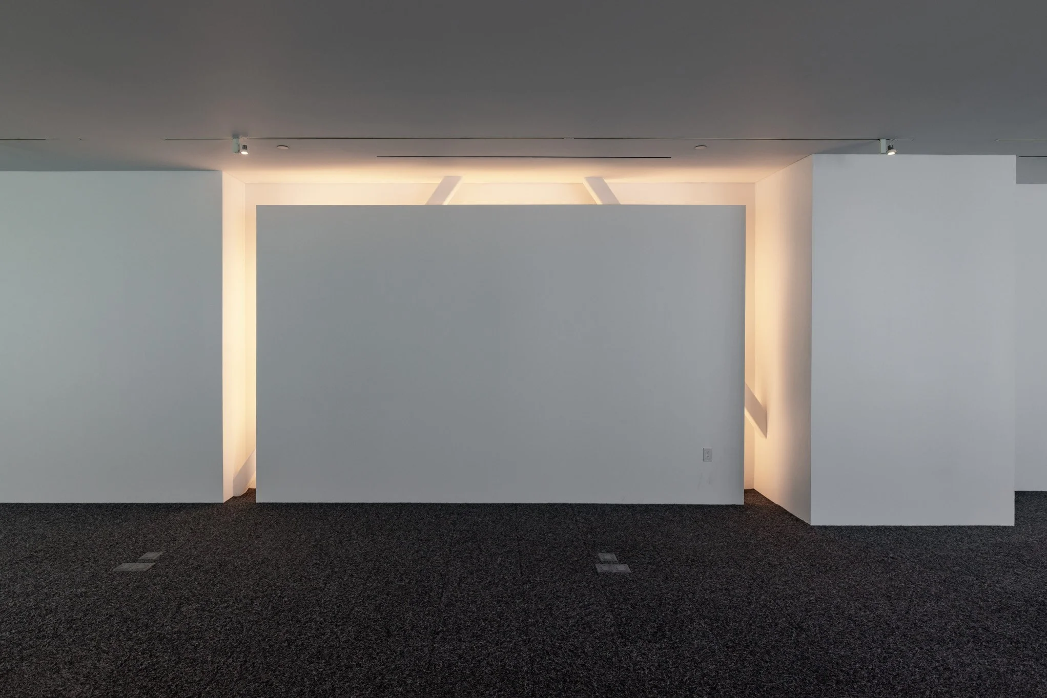 Empty modern interior with white walls, dark carpet, and dramatic lighting creating a minimalist space.