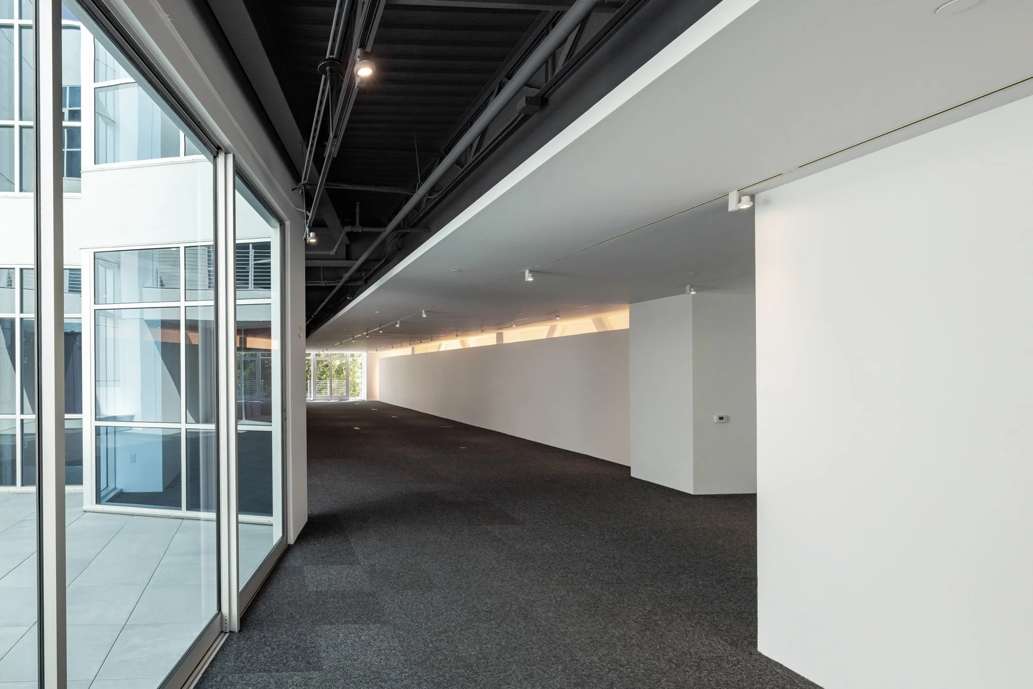 Empty modern interior hallway with large glass doors and windows, white walls, and dark carpeted flooring.