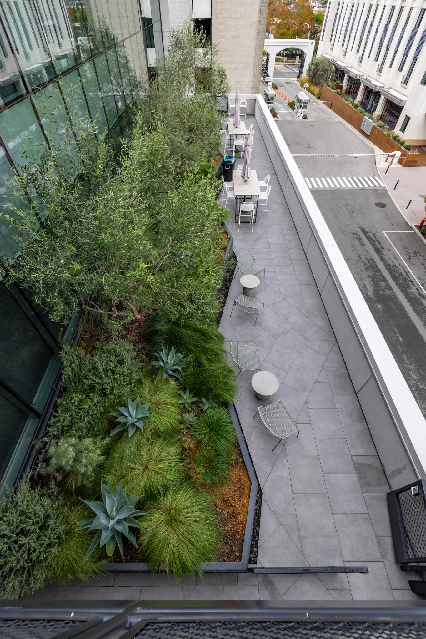Empty outdoor patio with seating, small tables, plants, and a row of trees, next to a street with a crosswalk and surrounding modern buildings.