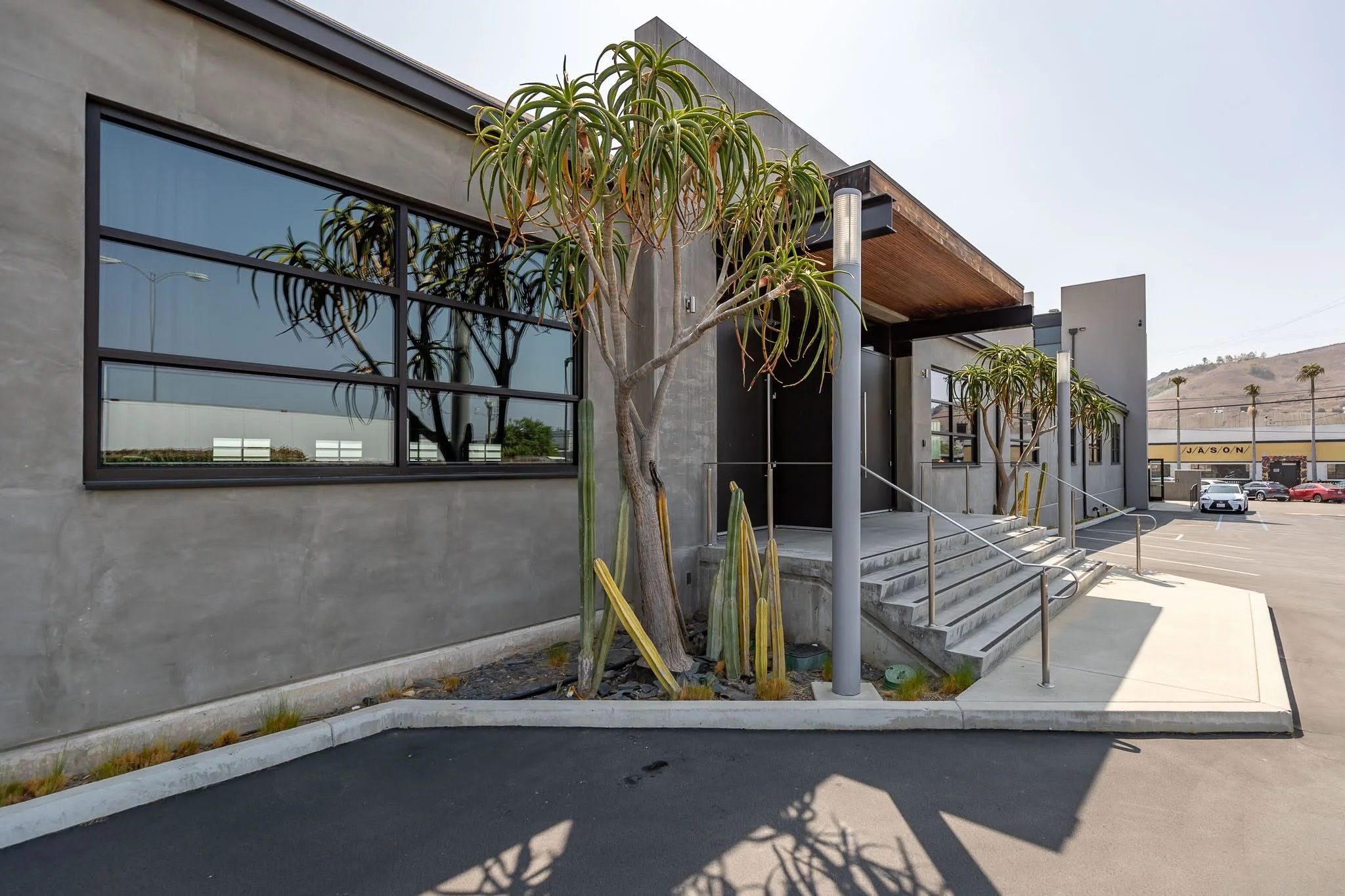 Modern commercial building with large glass windows, concrete exterior, desert plants including cacti and a large cactus tree, and a parking lot with cars in the background.