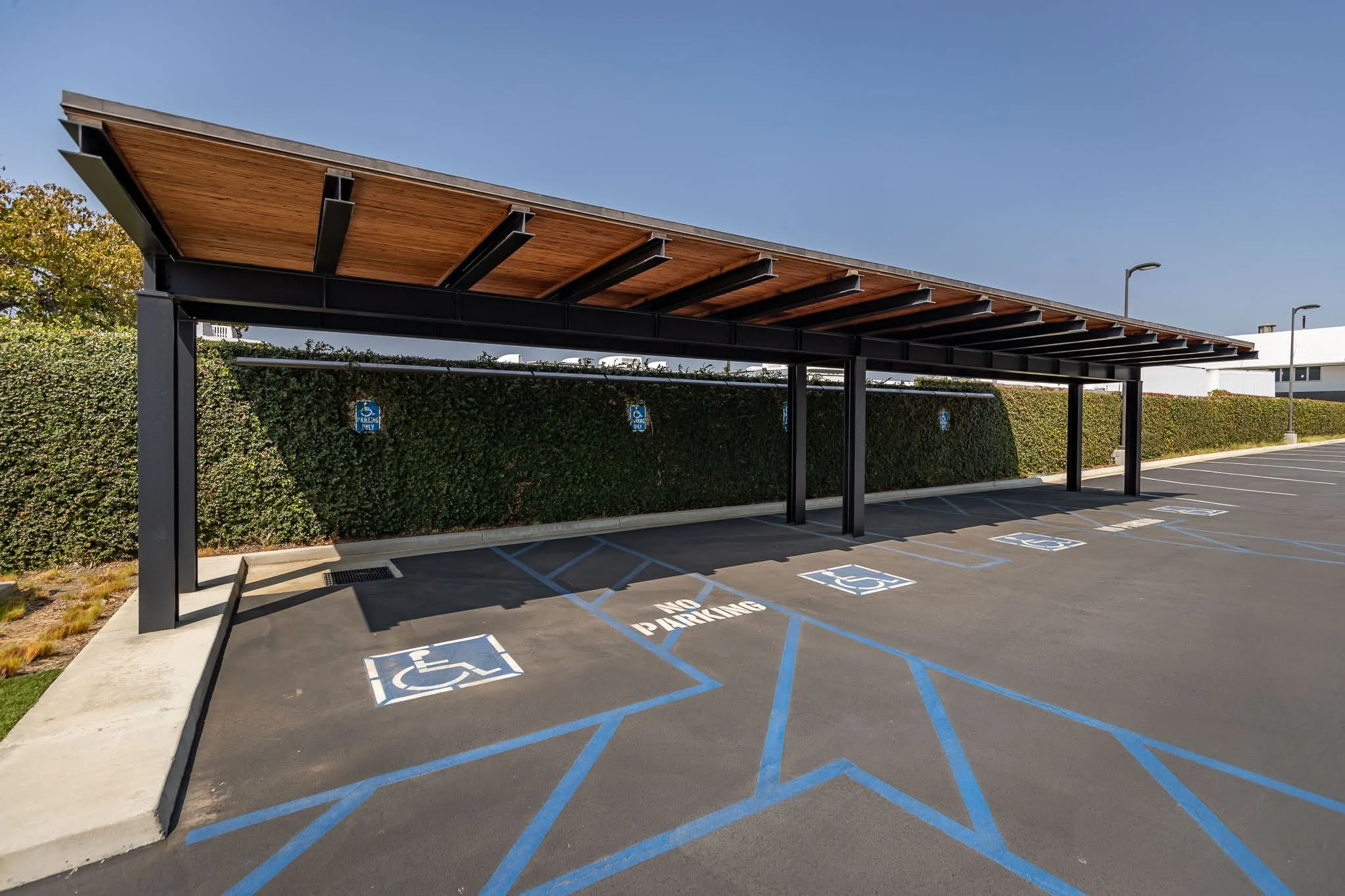 Empty parking lot with designated handicapped and no parking spaces, covered by a wooden roof structure, behind a hedge, under a clear blue sky.