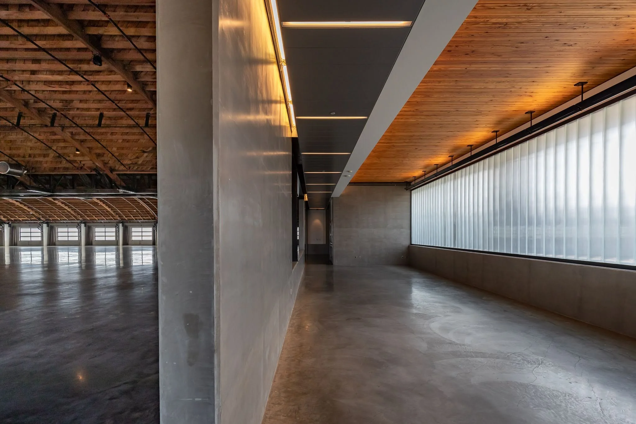 Empty modern interior space with polished concrete floor, wooden ceiling, large frosted windows, and minimalist design.