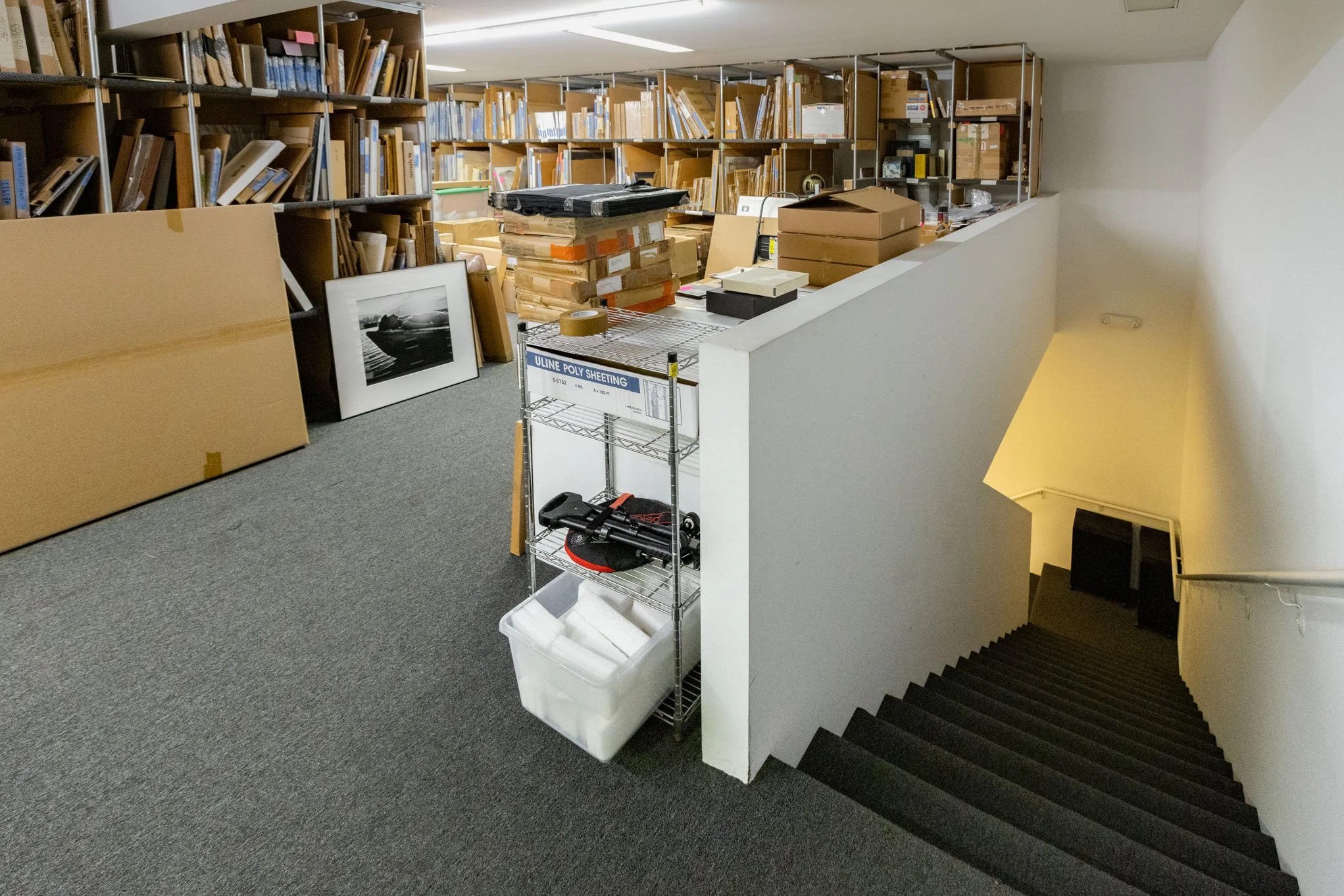 Storage room with bookshelves filled with books, packages, and a framed black and white photograph, next to carpeted stairs leading down.