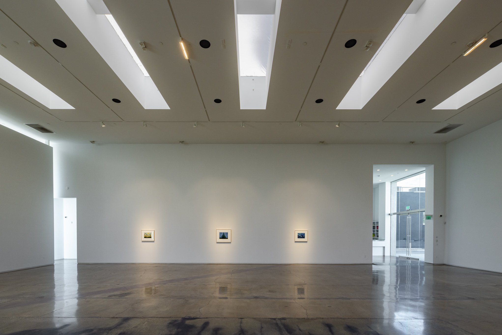Empty art gallery with three small framed pictures on the wall, skylights in the ceiling, and a glass door entrance on the right.