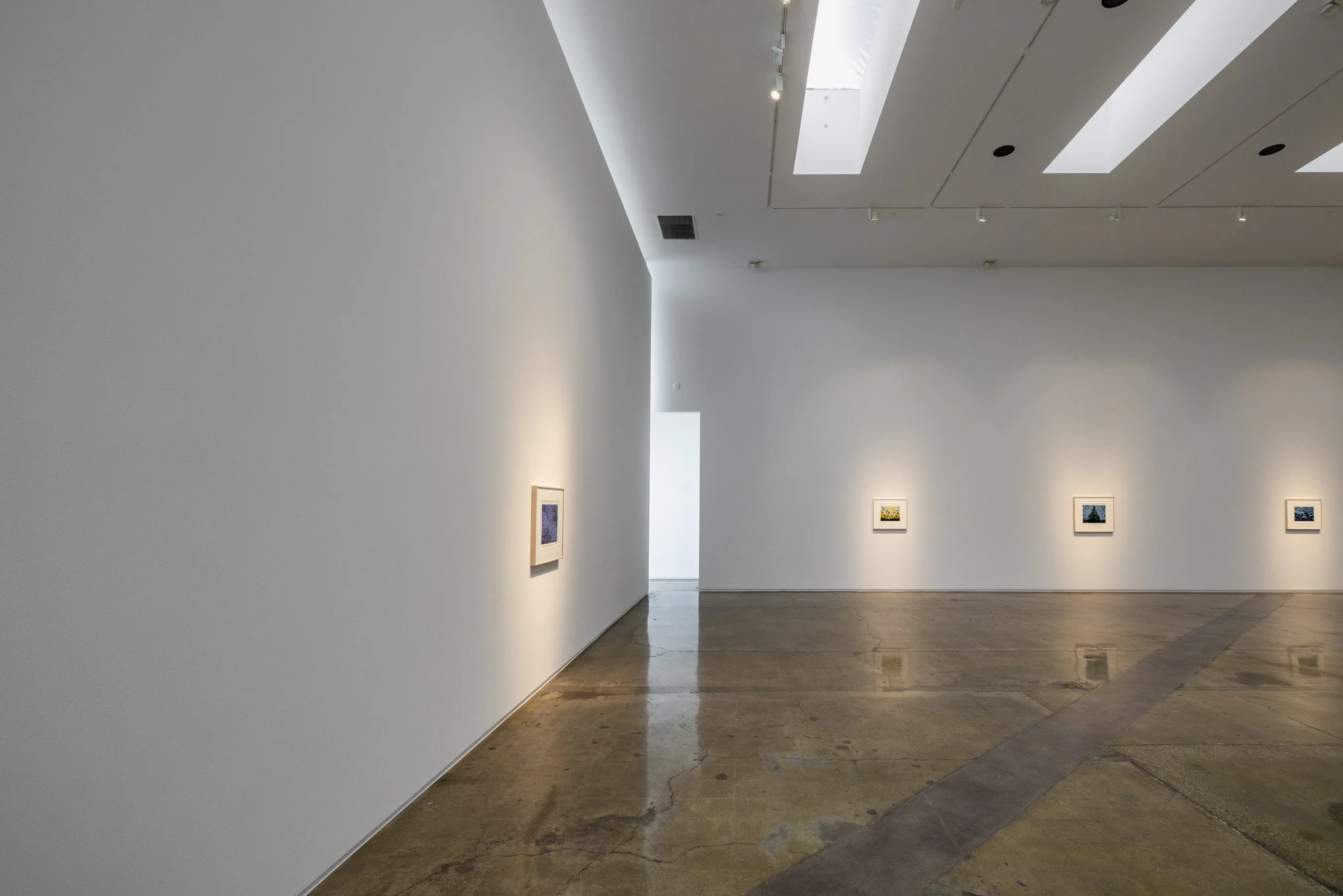 An empty art gallery with white walls, six small framed paintings evenly spaced, a polished concrete floor, and a bright skylight ceiling.