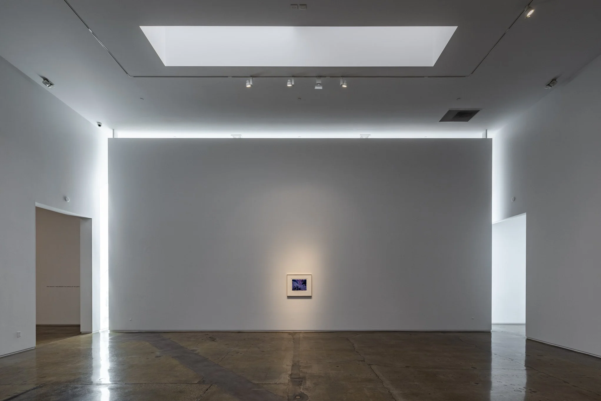 An art gallery with white walls and ceiling, a single small framed picture illuminated on the center wall, and skylights providing natural light.