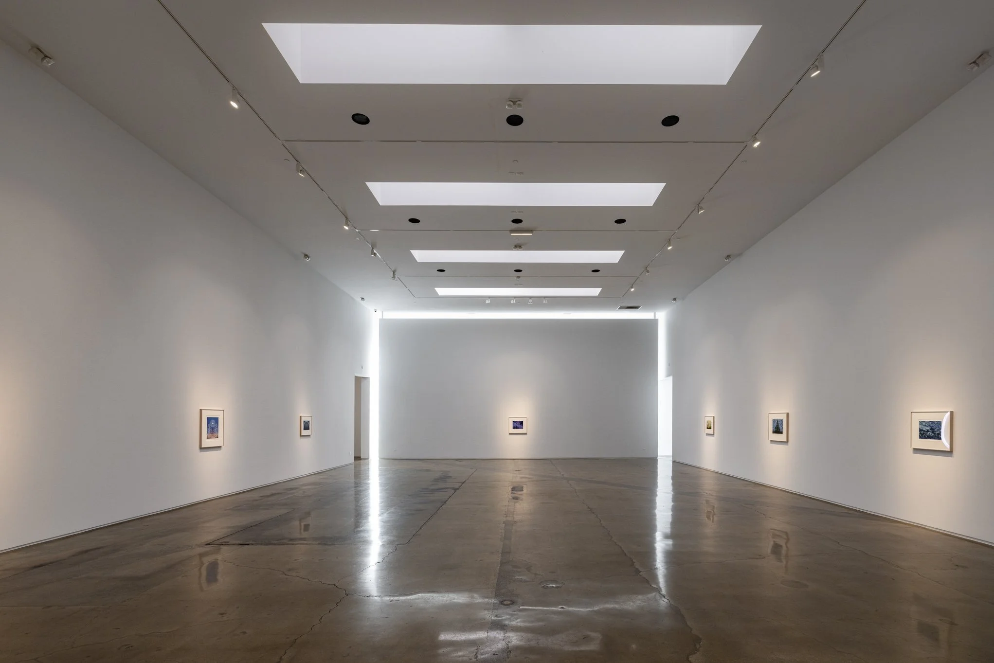 An art gallery with white walls and a polished concrete floor, featuring small framed artworks evenly spaced along the walls. The ceiling has rectangular skylights and track lighting.