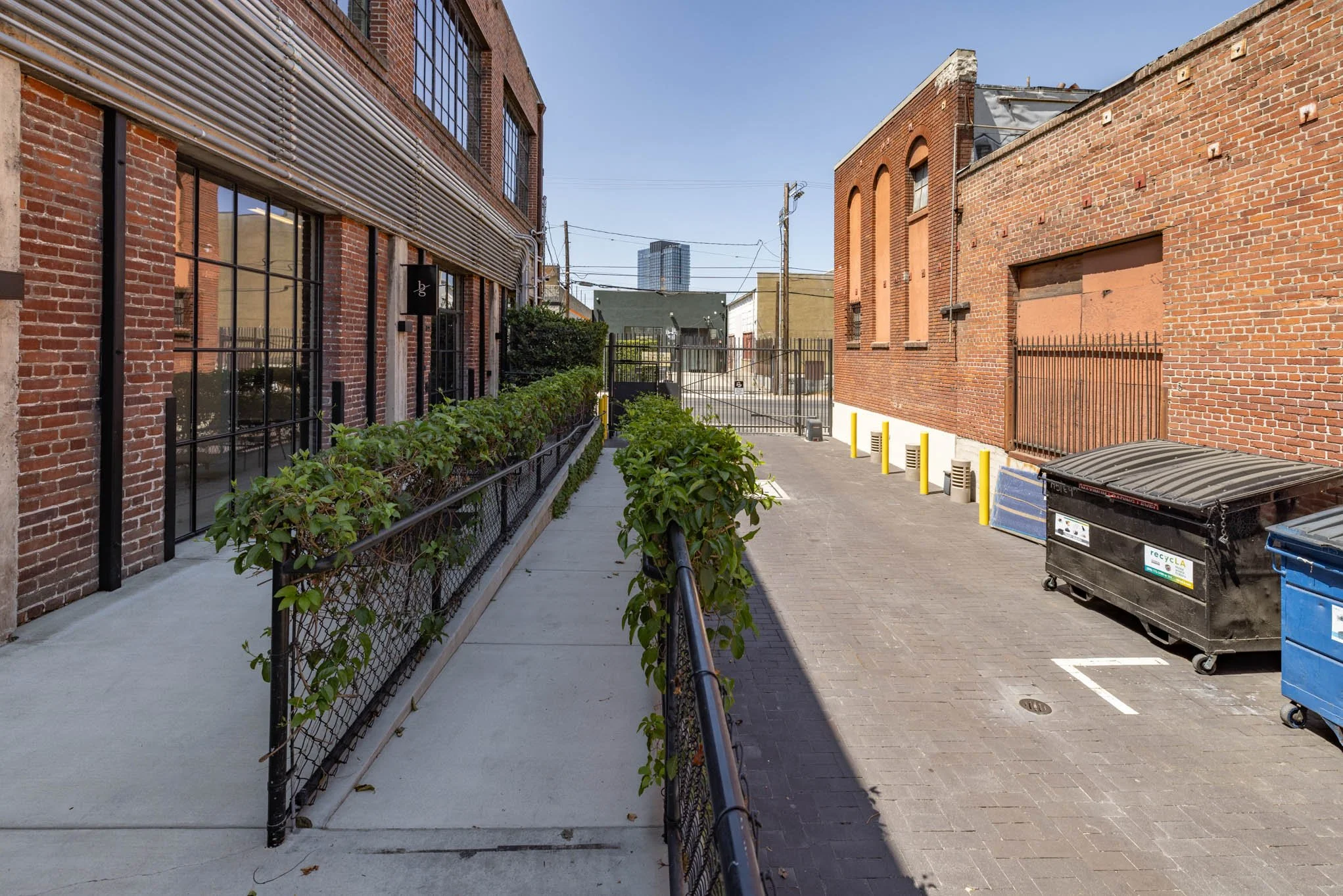 An alleyway with brick buildings on both sides, a sidewalk with greenery along the railing, and garbage dumpsters on the right side, with a clear blue sky overhead.