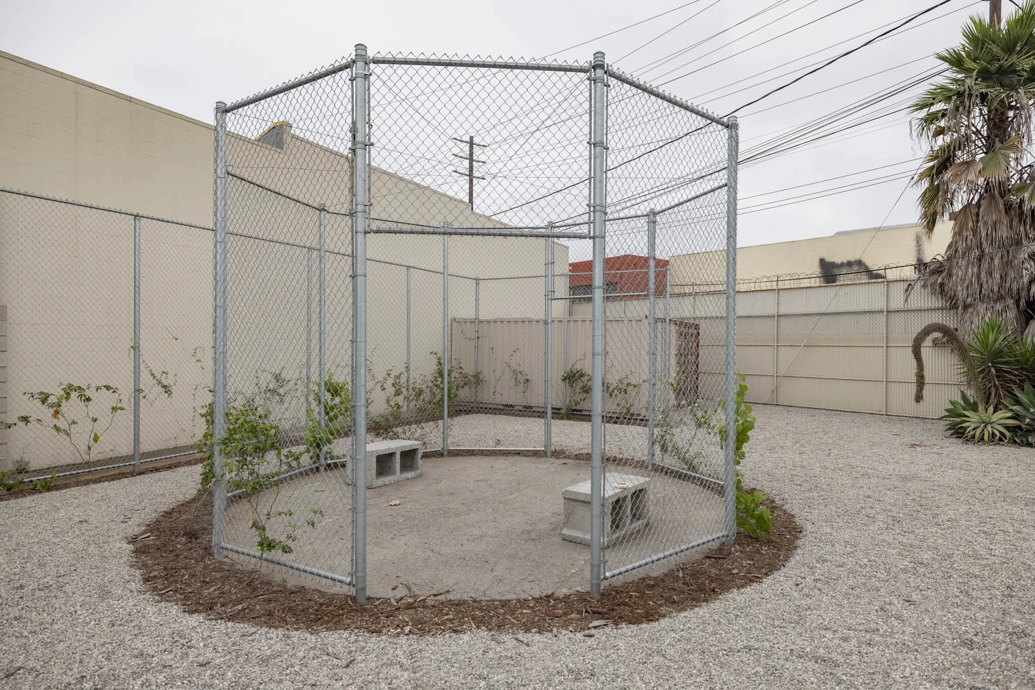 A small outdoor caged area with a bench and cinder block, surrounded by gravel and a beige wall, with some plants and wires overhead.