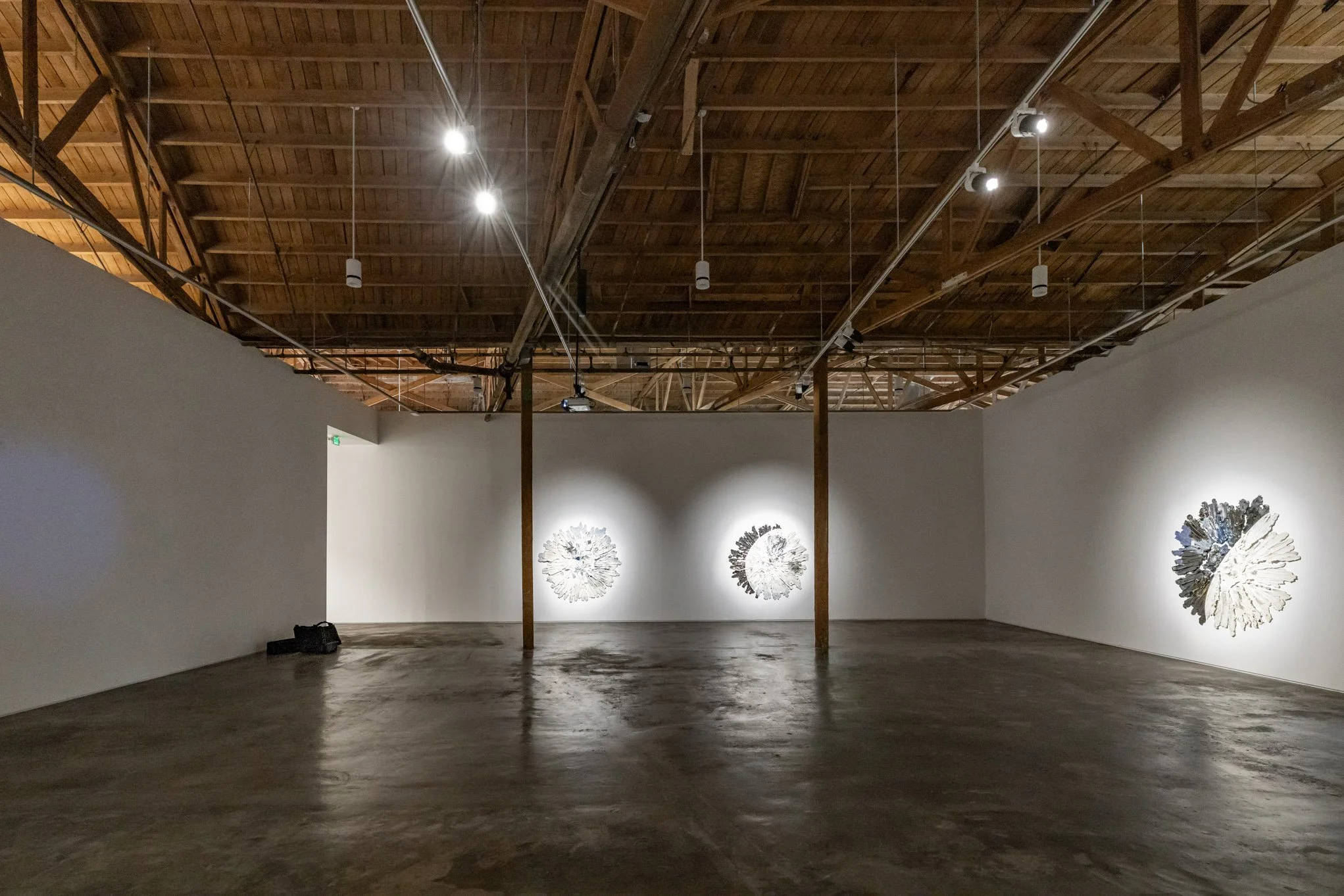 An art gallery with three white sculptures mounted on a white wall, illuminated by spotlights. The gallery has a wooden ceiling with exposed beams and a polished concrete floor.