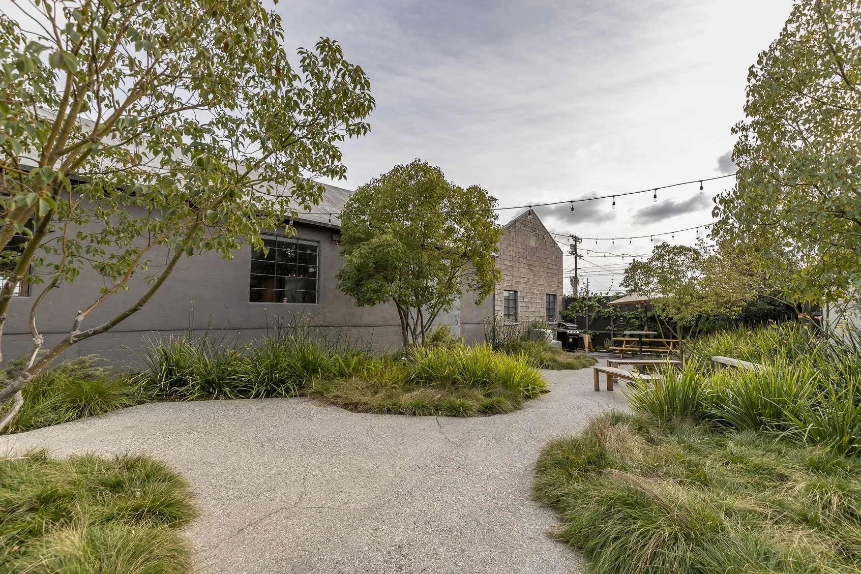 A landscaped outdoor space with a winding gravel pathway, several trees and bushes, and wooden picnic tables and benches. There are string lights hanging overhead and buildings with gray and brick exteriors in the background.