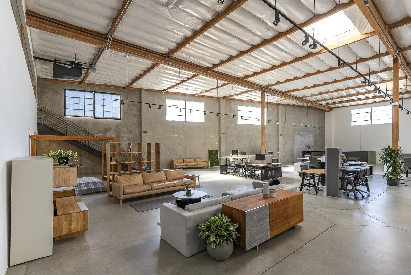 A spacious modern office with exposed concrete walls and ceiling, large windows, and a mix of seating options including sofas, chairs, and desks with computer stations, decorated with plants.