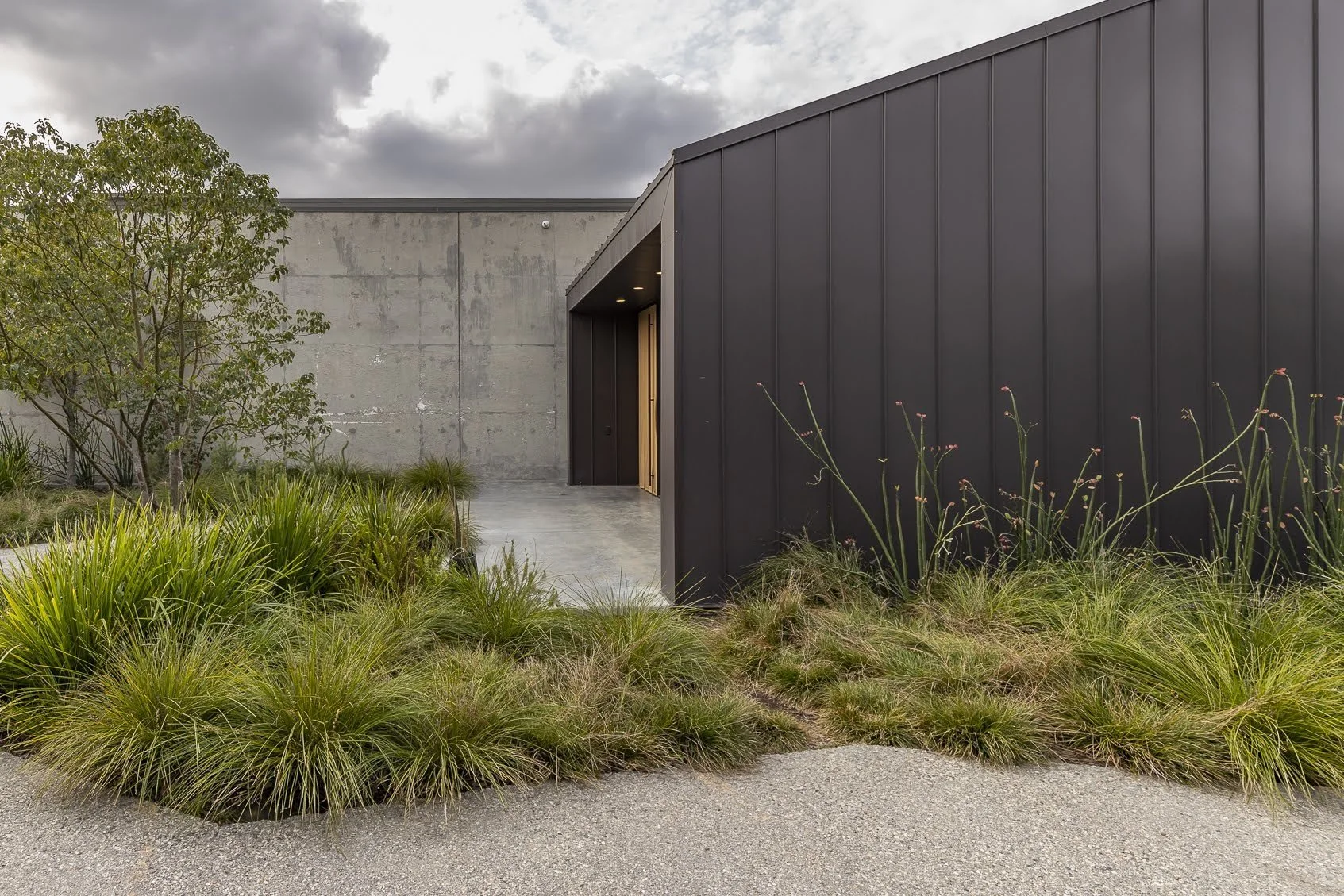 Modern building with dark metal siding, concrete wall, and landscaped plants including grasses and small trees at the entrance.