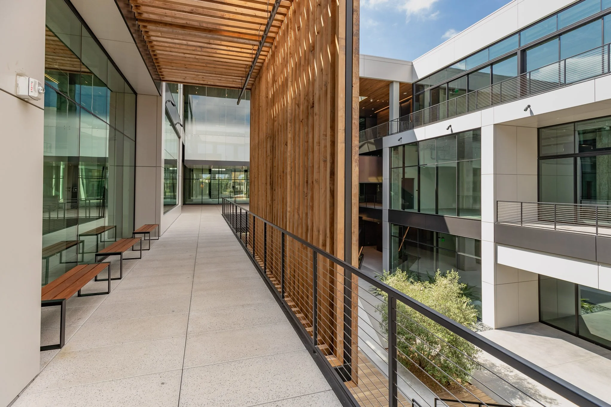 Modern outdoor corridor on an upper level with benches, wooden and glass accents, overlooking a courtyard with trees, in a contemporary office or apartment building.