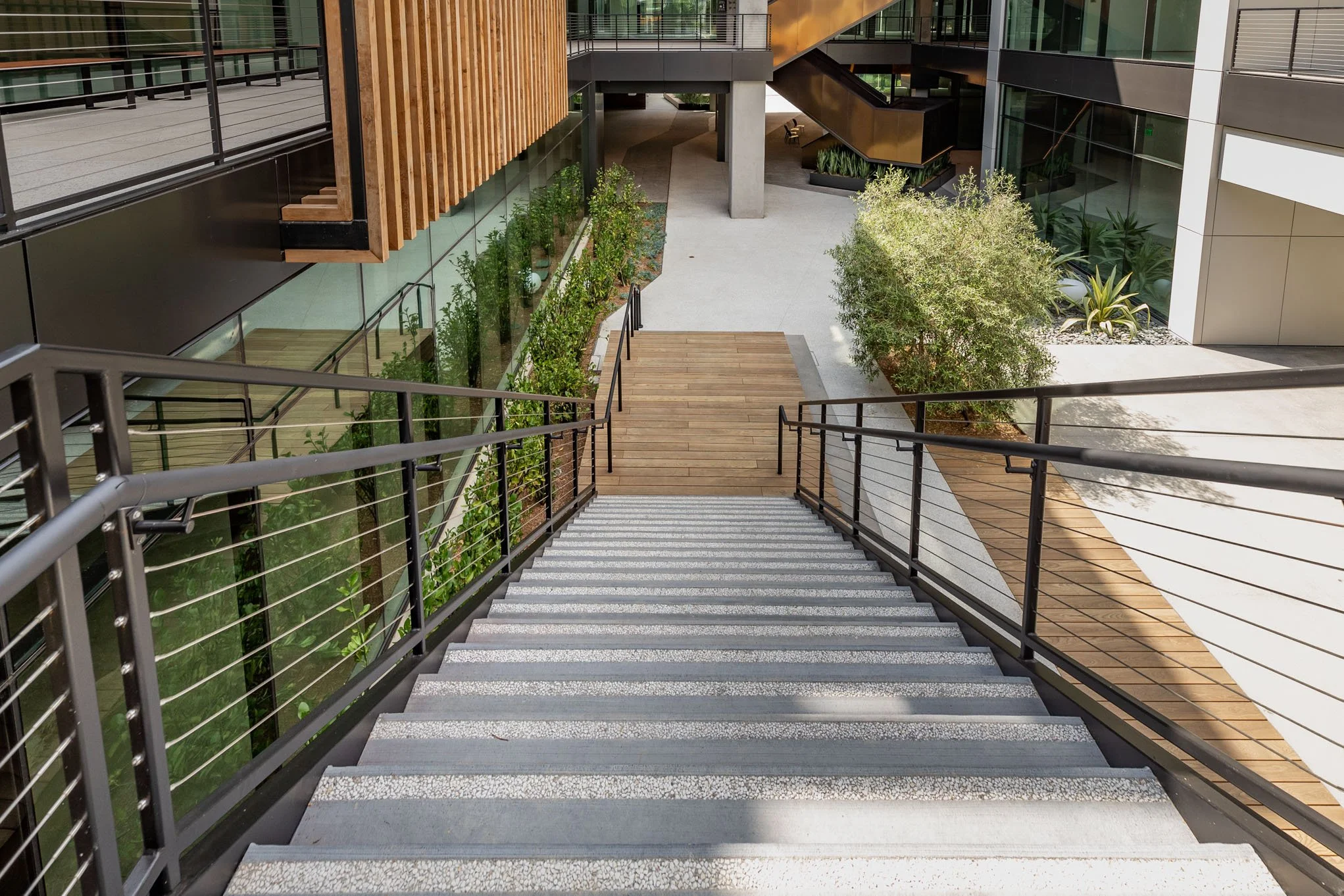 View from the top of a modern outdoor staircase leading down to a courtyard with trees and plants, surrounded by glass and wood building facades.