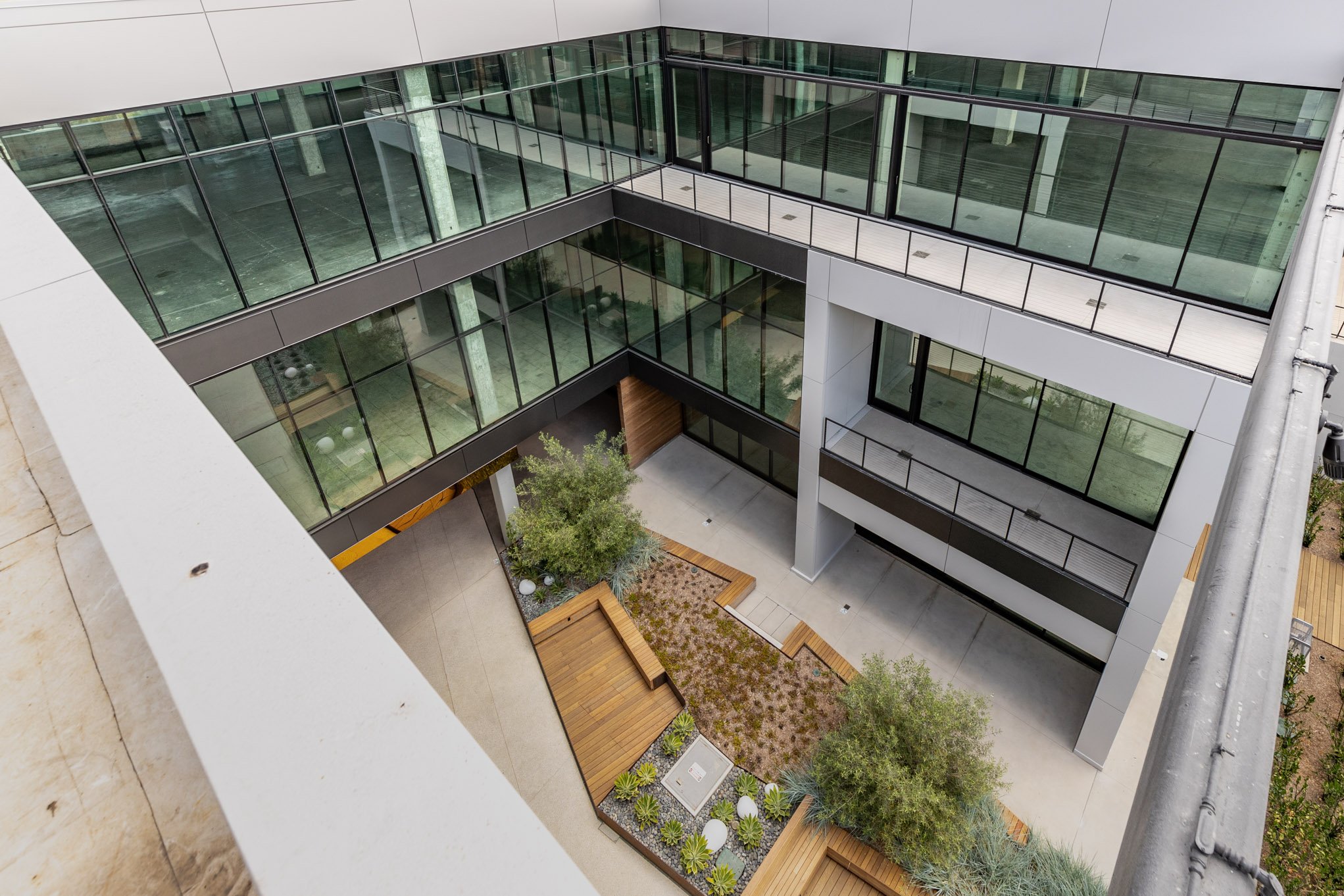 View of a modern courtyard with trees, seating, and plants, surrounded by glass and metal buildings.