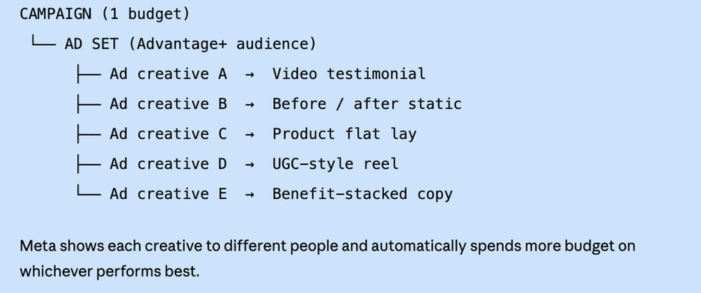 Graph showing how Meta Ads Andromeda Set up works