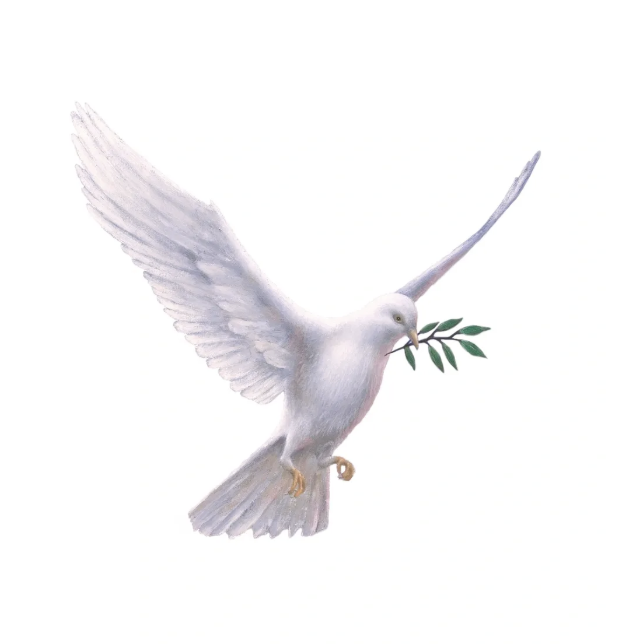 Peace