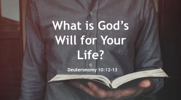 Your way, your will