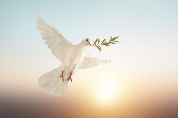 Peace