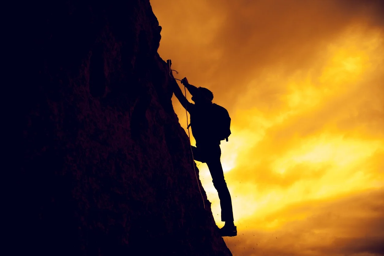 Willful Determination